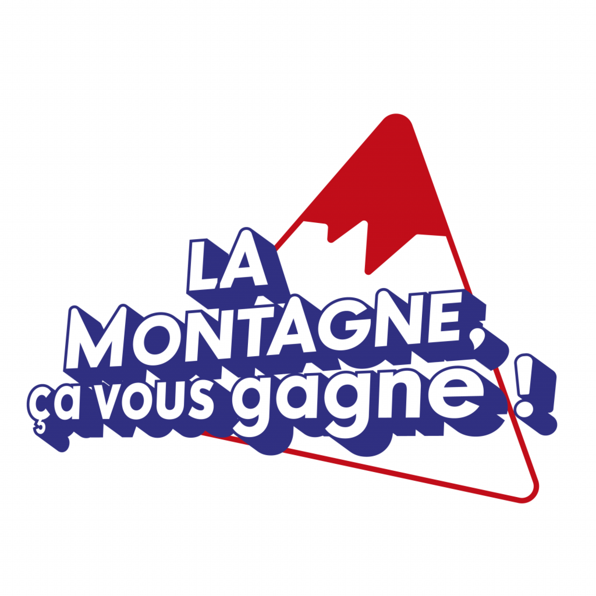 LMCVG